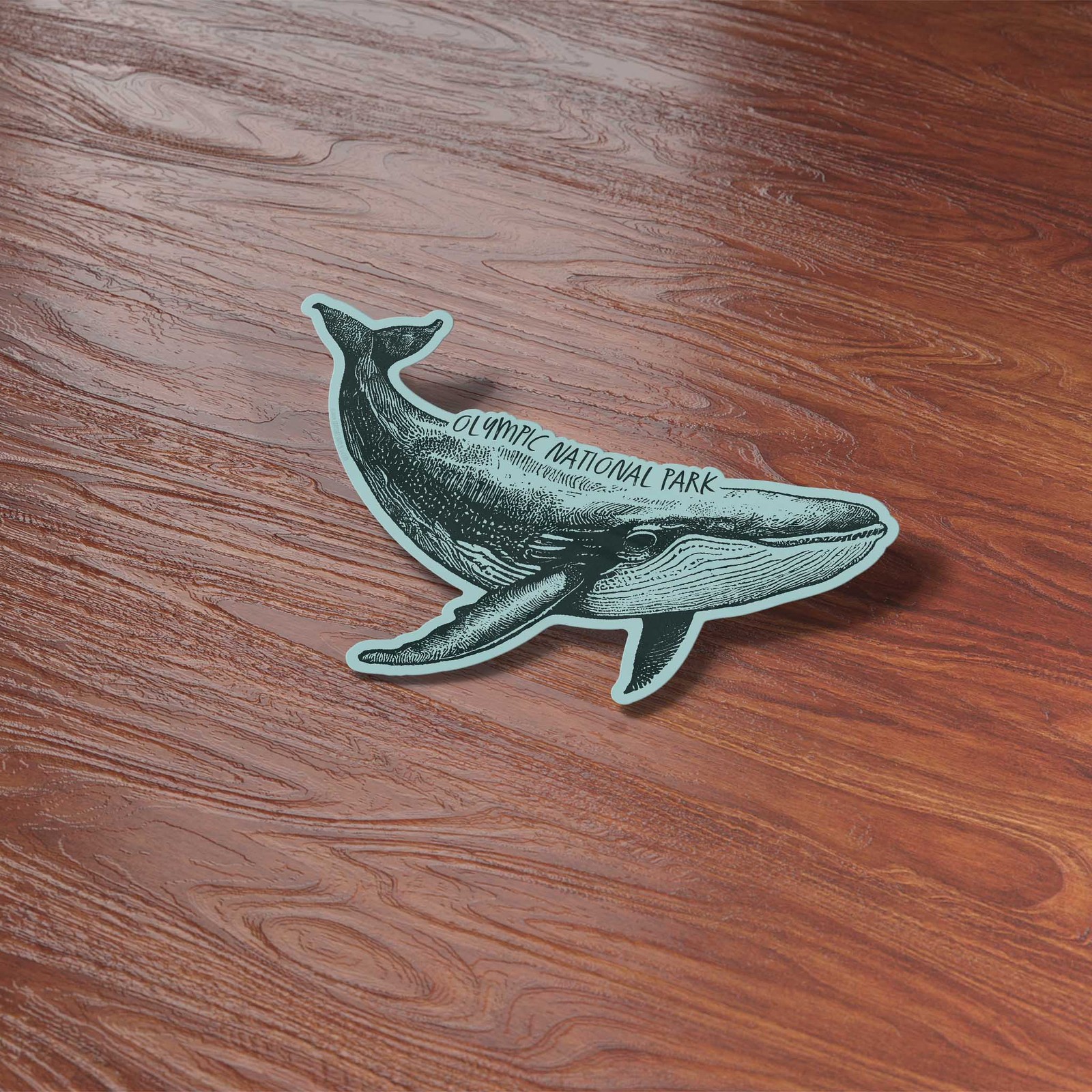 Olympic National Park Humpback Whale Sticker- WA Decal for Water Bottle & Laptop