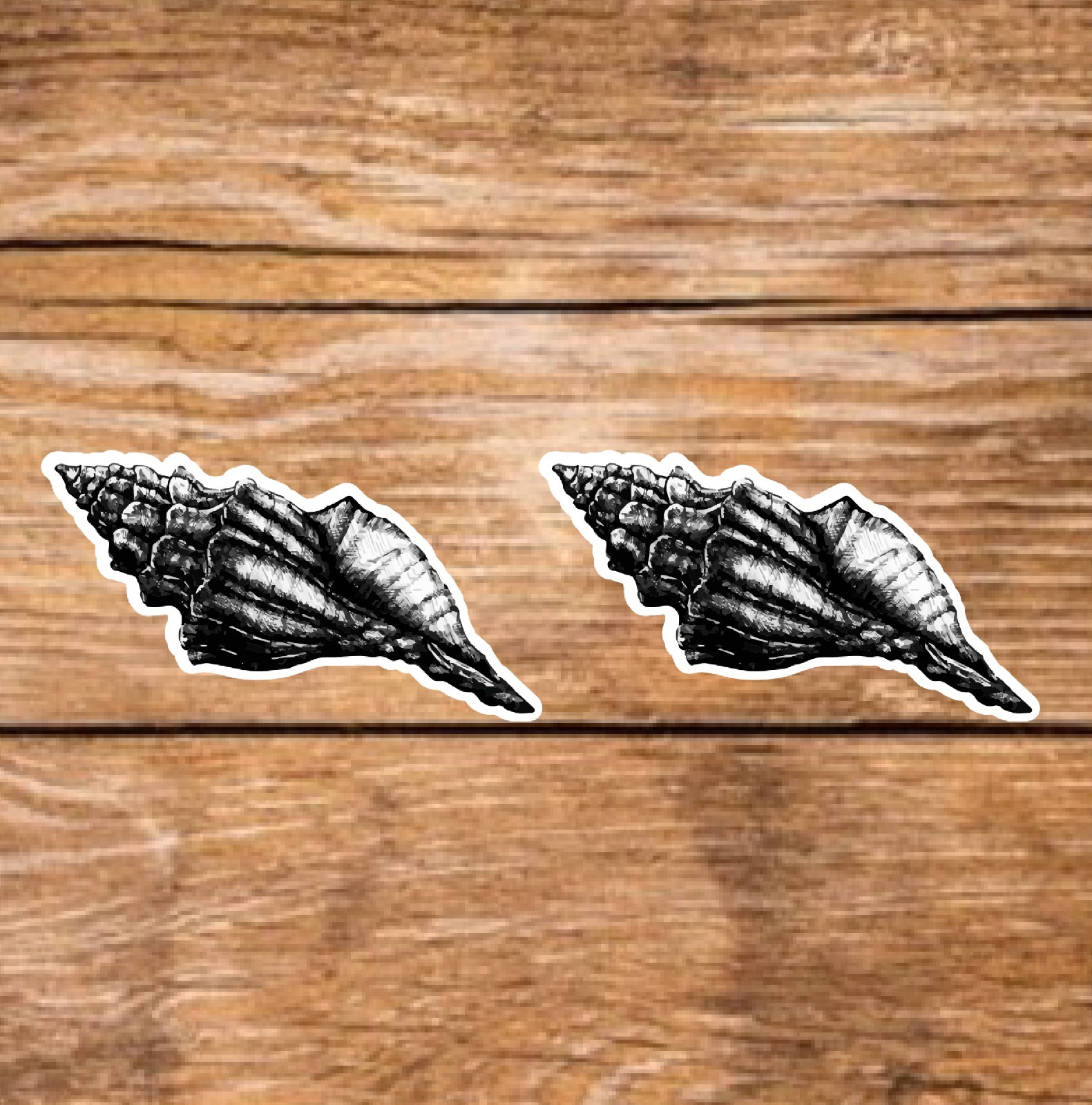 Seashell – Black & White (2 Stickers) 3.5in, Waterproof, Glossy Finish Vinyl.
