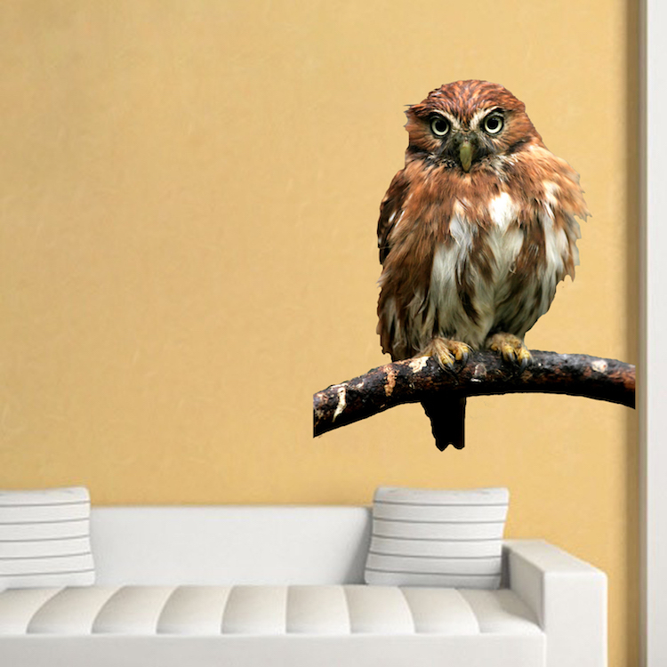 Owl Wall Decal Mural Bird Wise Wild Animals Removable Tree Branch Vinyl, a18
