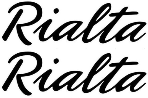 2 RV WINNEBAGO RIALTA RV TRAILER CAMPER DECALS GRAPHICS