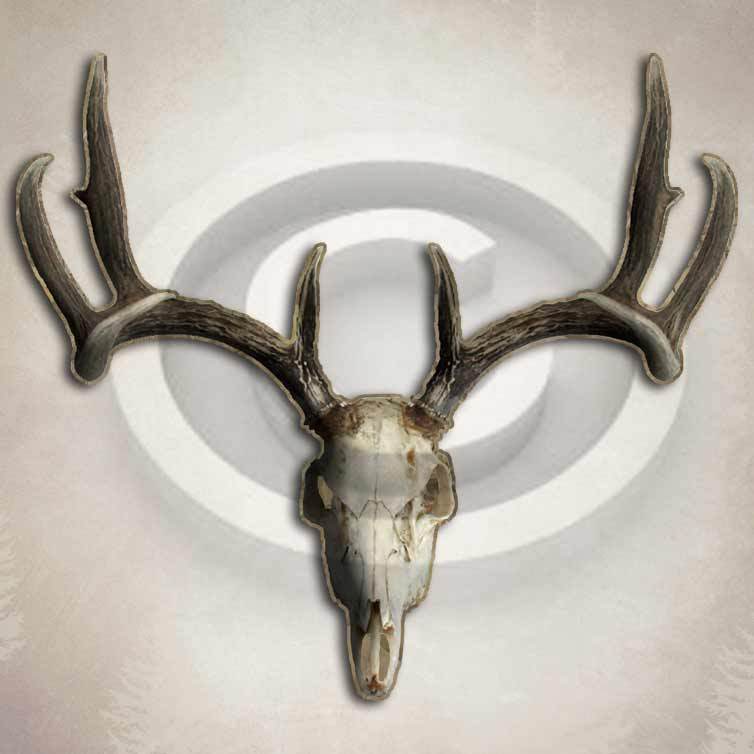 Hunting Sticker Deer Skull Vinyl Decal Car Truck Window Whitetail Hunter