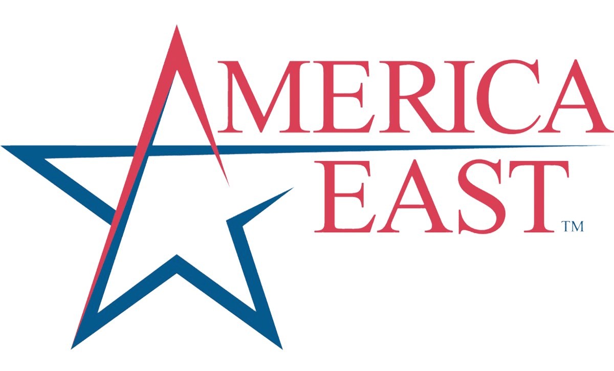 America East Conference Vinyl Decal 12x8in Metal Sign Mascot Poster NCAA