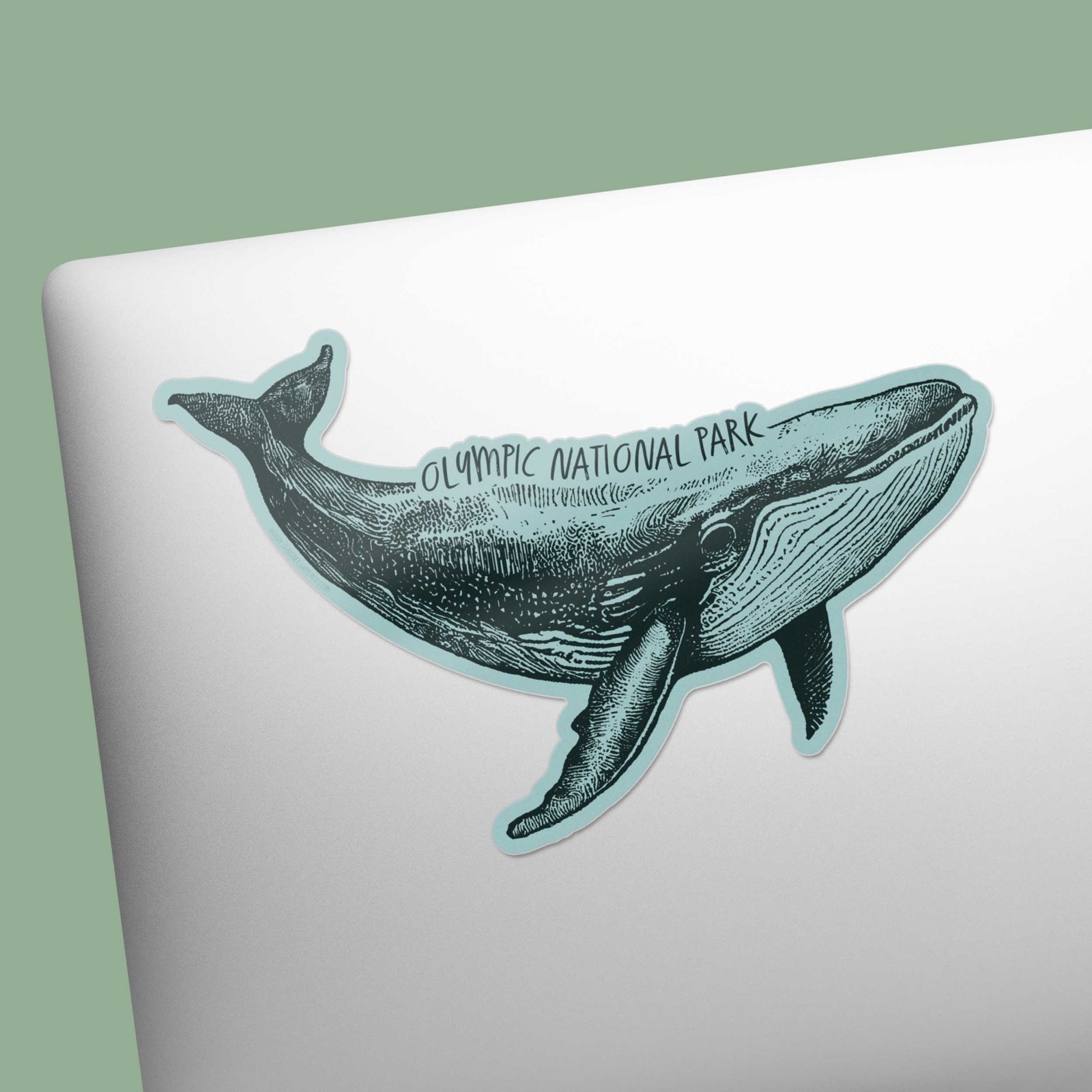 Olympic National Park Humpback Whale Sticker- WA Decal for Water Bottle & Laptop