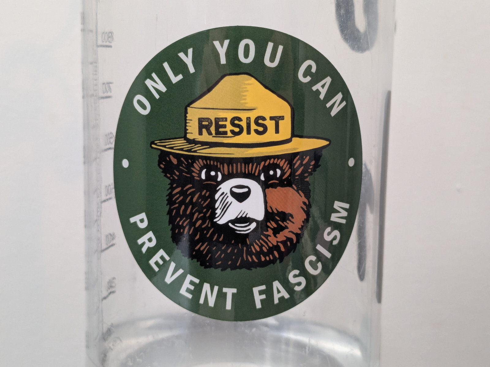 Smokey Bear Resist sticker – Only you can prevent fascism