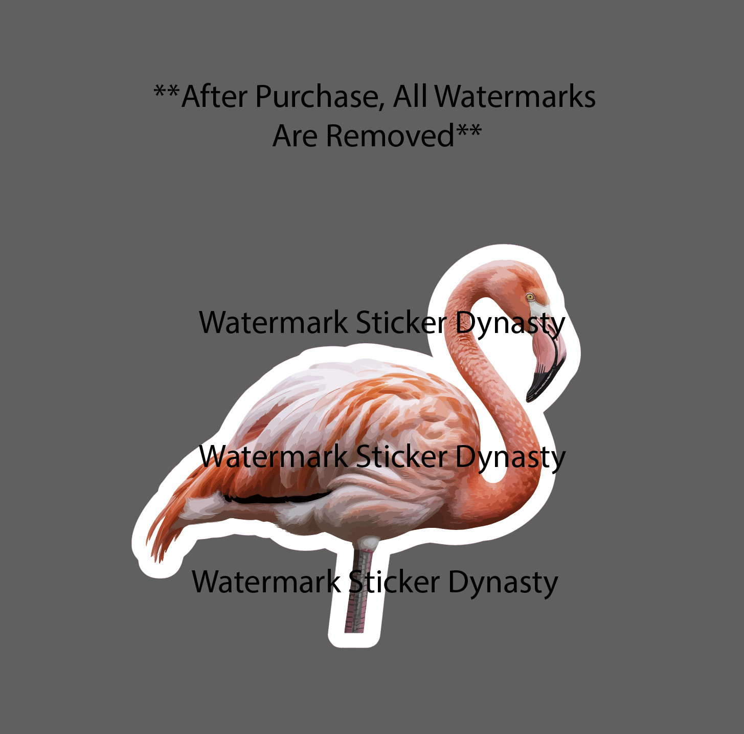 Flamingo Sticker Waterproof Decal Animal Bird Outdoor Wildlife Gift NEW