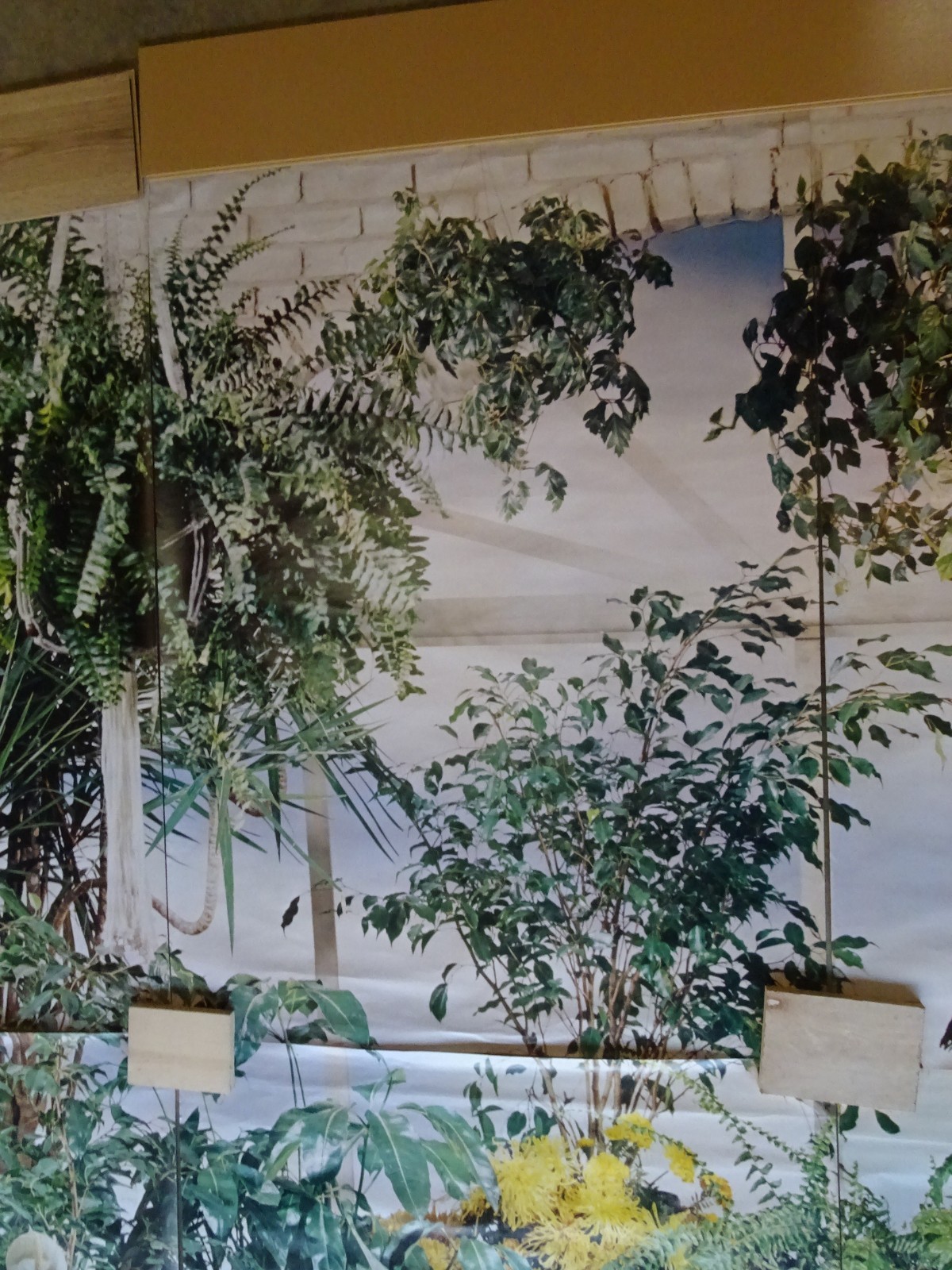 Full Wall Size Mural Tropical Plants Huge Window 8’ 8” x 12’ 6” NOS 108 Sq Ft A