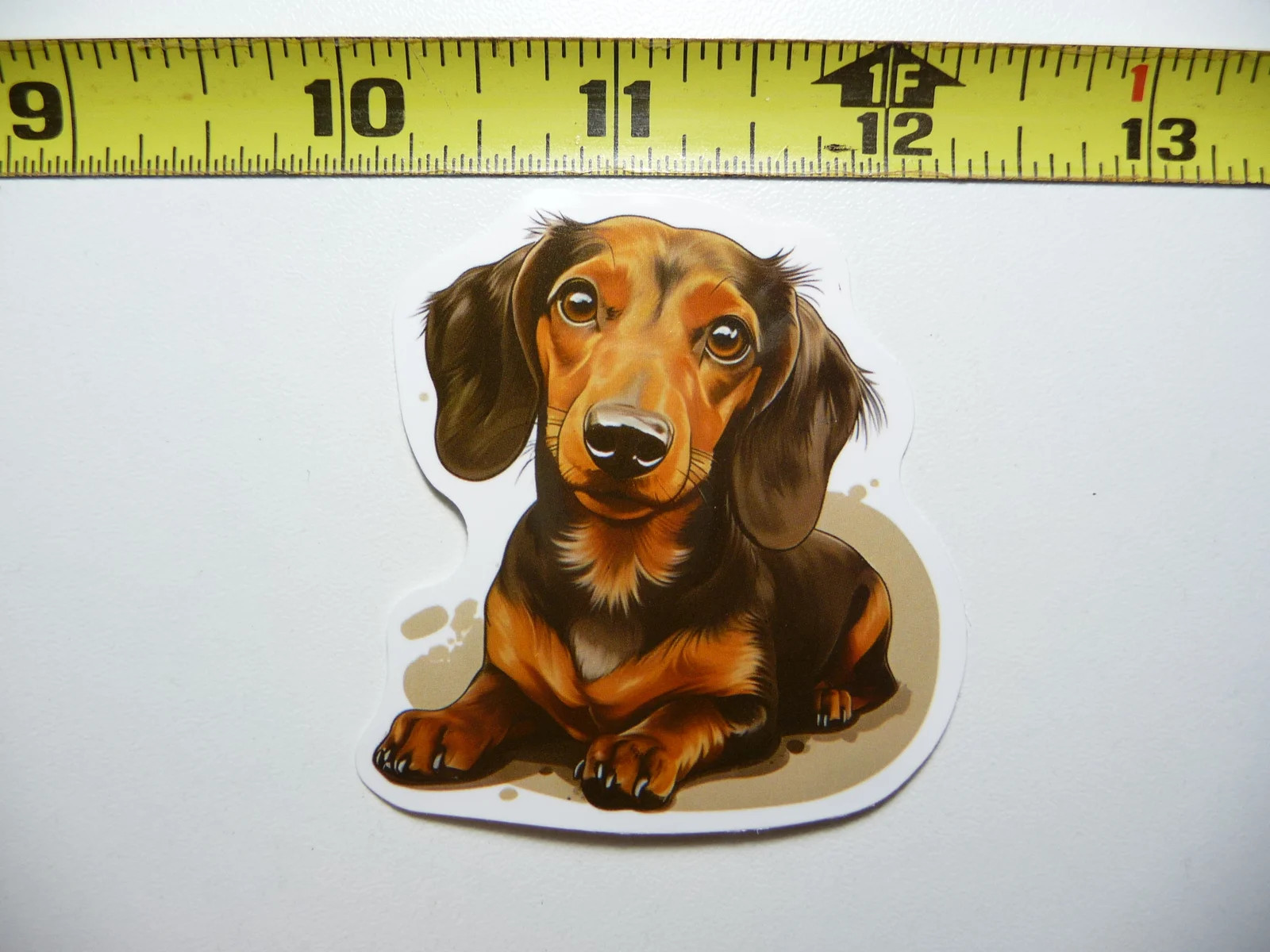 DACHSHUND SMALL STICKER DECAL BEAUTIFUL LONG HAIR DOG SO PET PRIDE