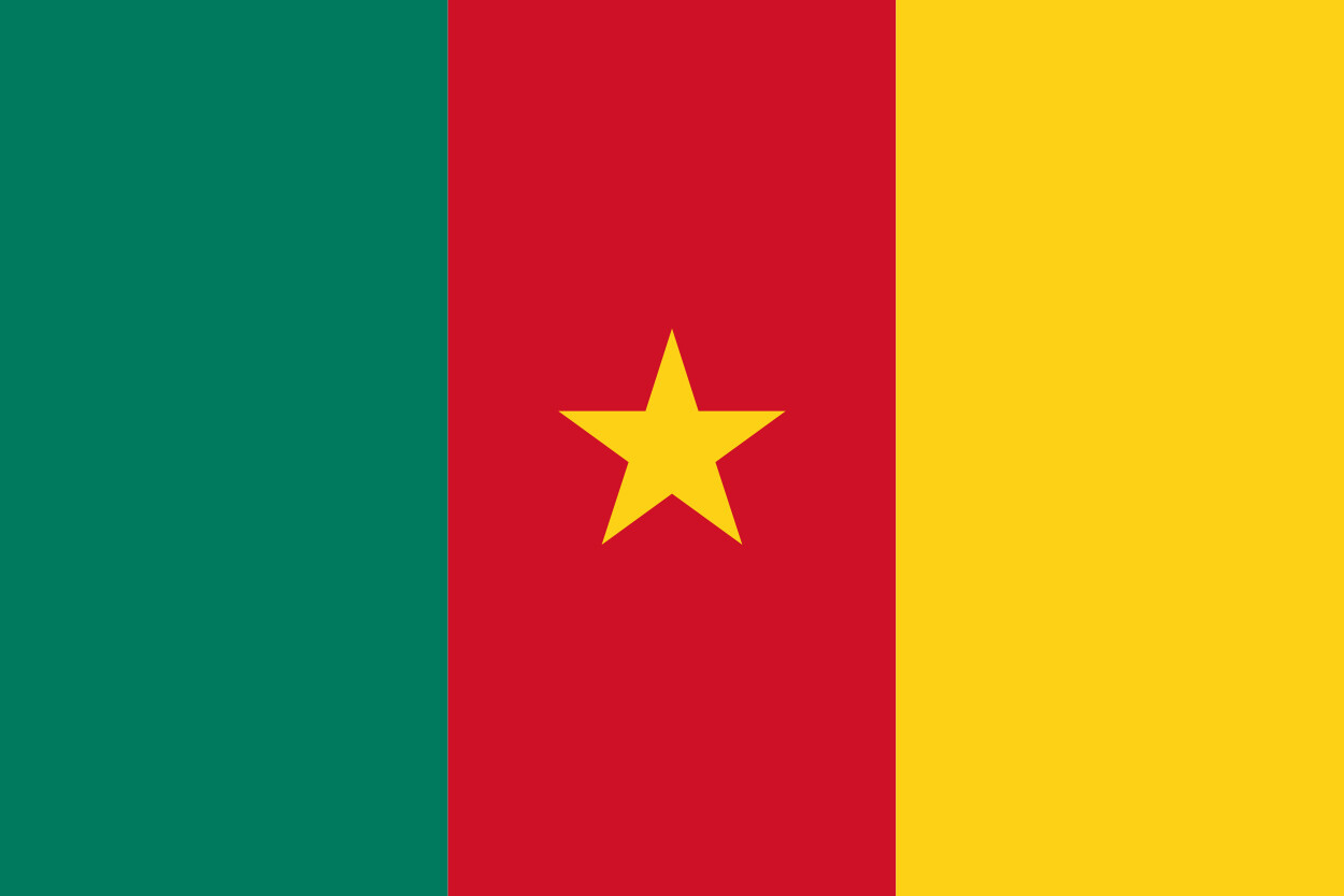 Cameroon Country Flag Vinyl Decal Sticker Car Truck Bumper Laptop Mug Tumbler