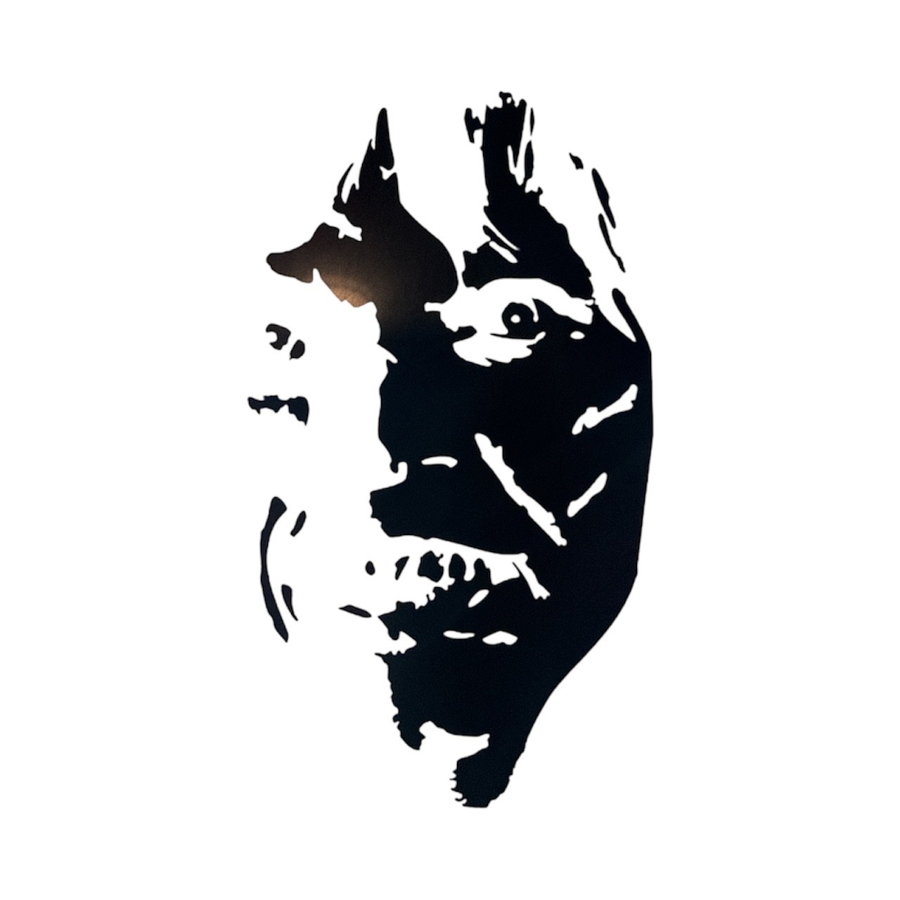 EXORCIST GIRL HORROR Vinyl Decal for Car Truck Bumper Wall Decor