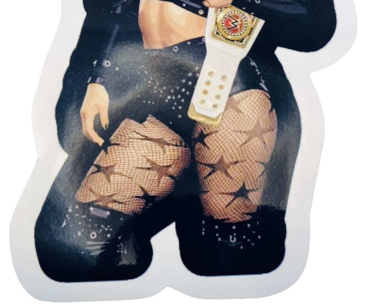 Female Wrestler Water Resistant Xbox Car Decal Laptop Vinyl Sticker PlayStation