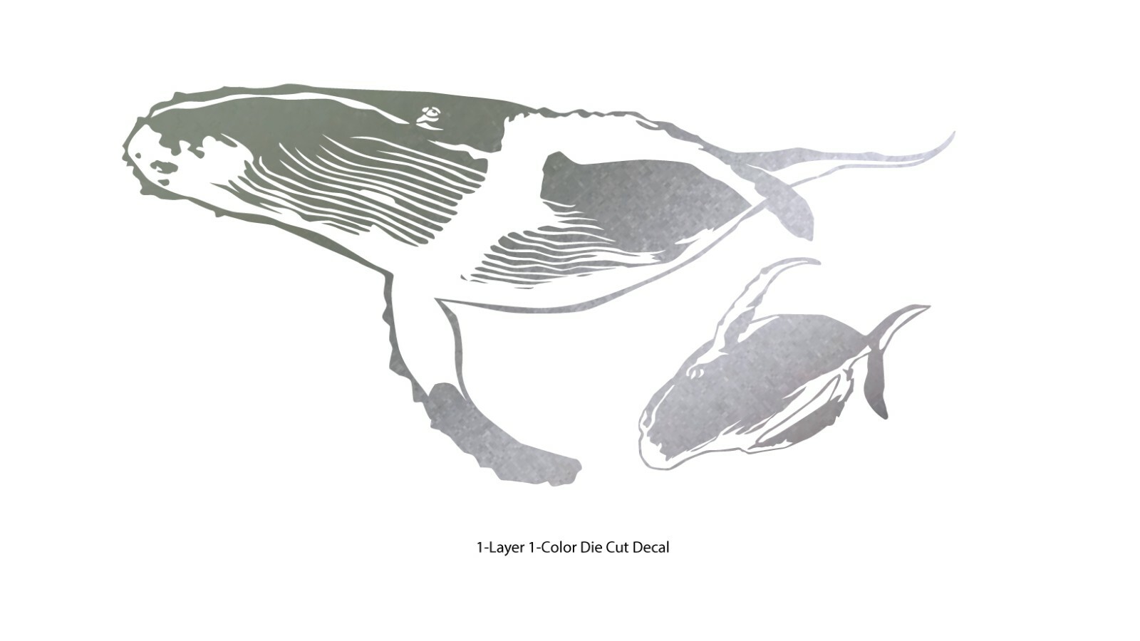 Sea life – Ocean Gray Whale 1 Outdoor Window Decal Vinyl Sticker 6Yrs Film