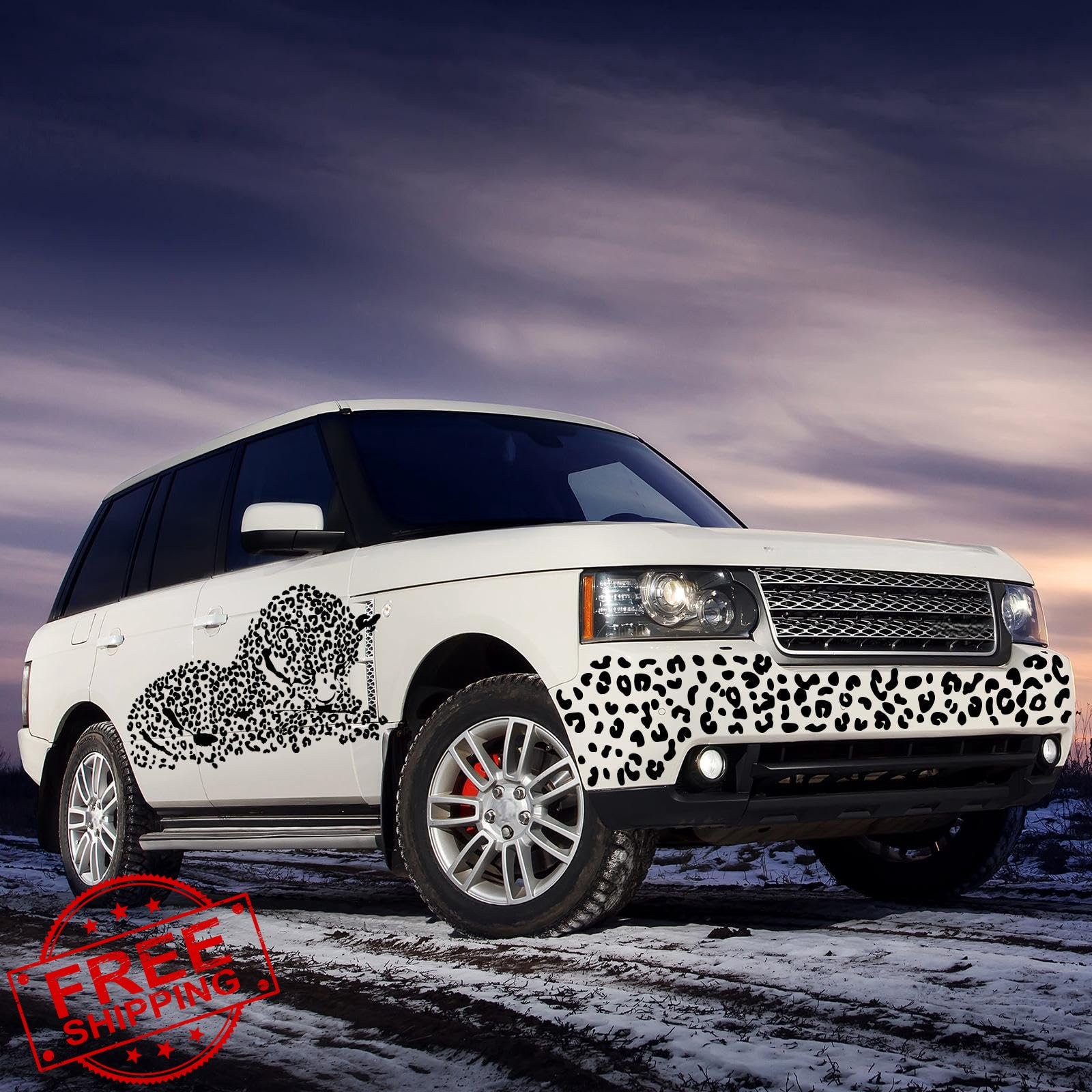 Outus Leopard Print Wall Decal Black