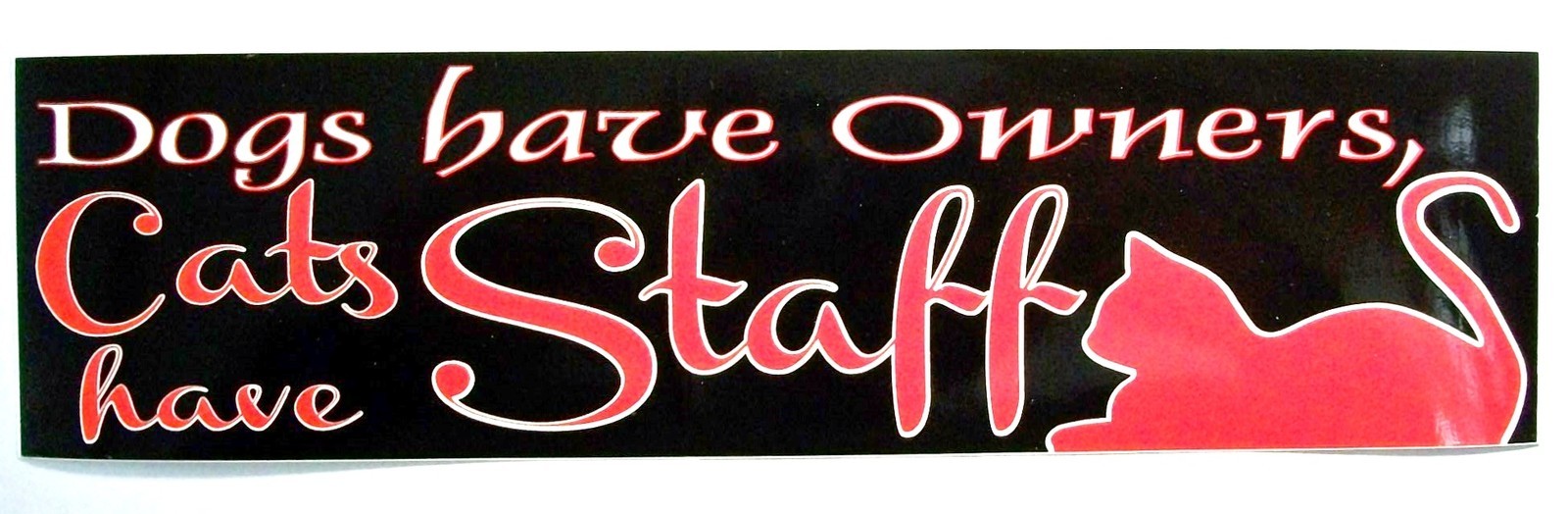 Dogs have owners Cats have Staff Bumper Sticker