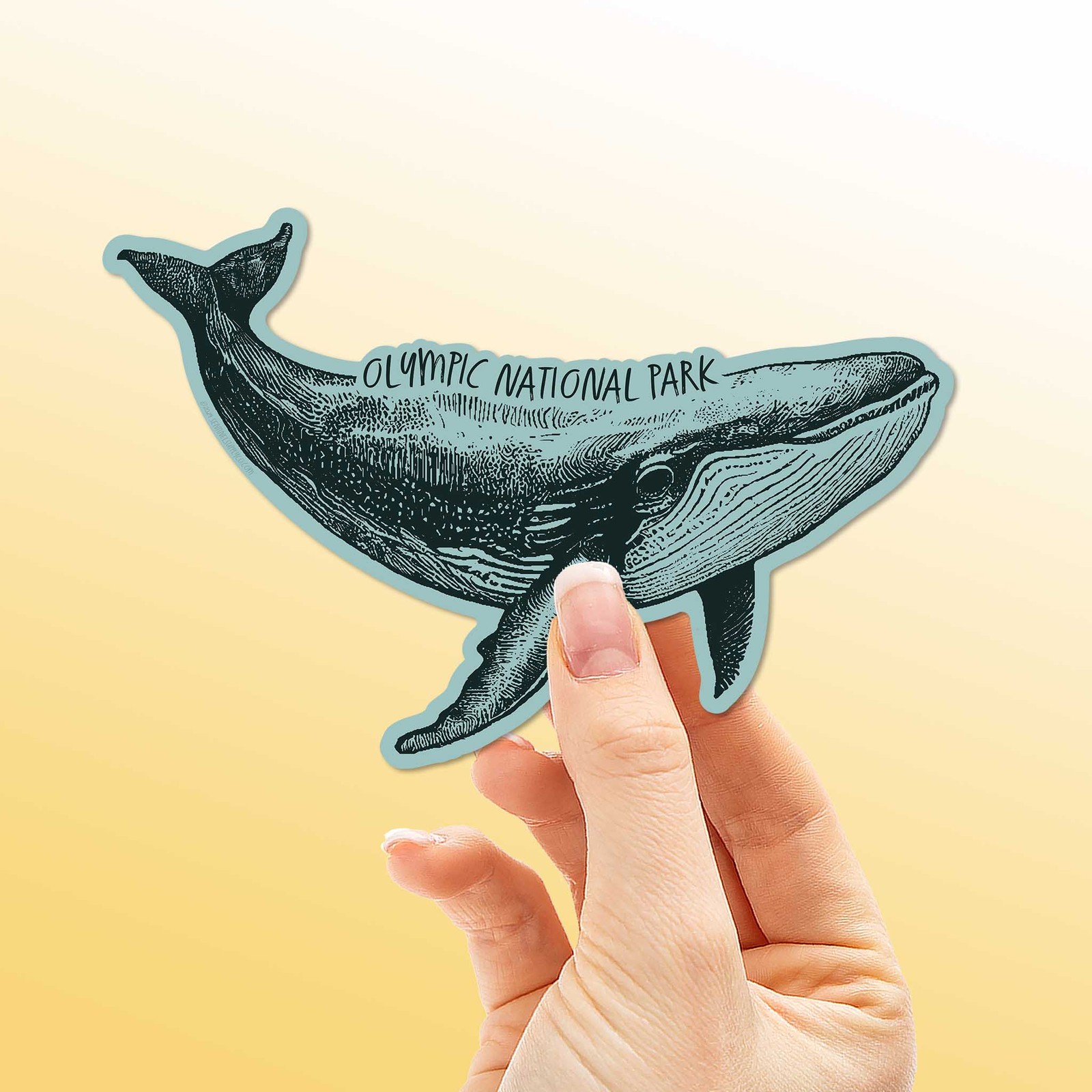 Olympic National Park Humpback Whale Sticker- WA Decal for Water Bottle & Laptop