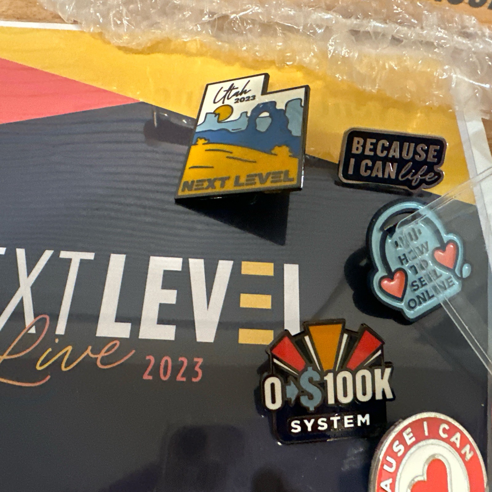 Stickers, Tracker, Pins, Next Level, Alison J Prince Because I Can Life$200Value