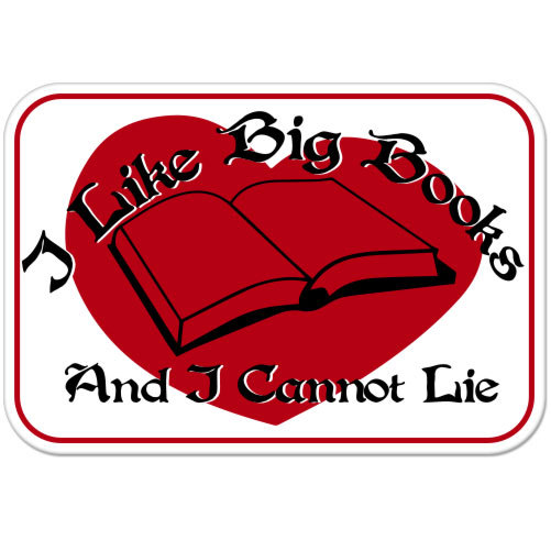 I Like Big Books And I Cannot Lie Funny Nerd car bumper sticker decal 6" x 4"