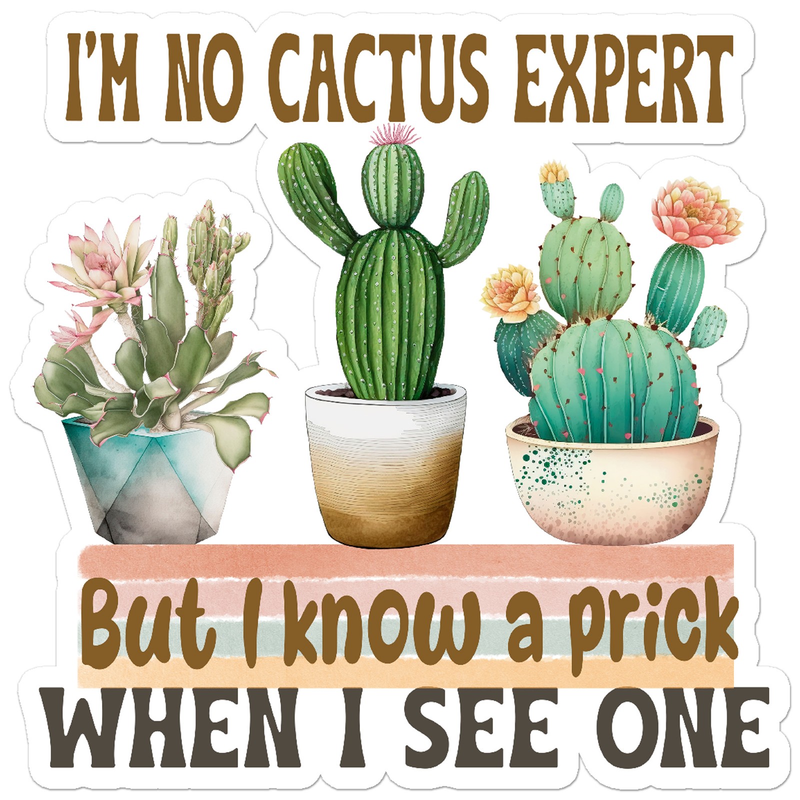 I'm No Cactus Expert – Vinyl Decal Sticker – Car Window Laptop – ebn9362