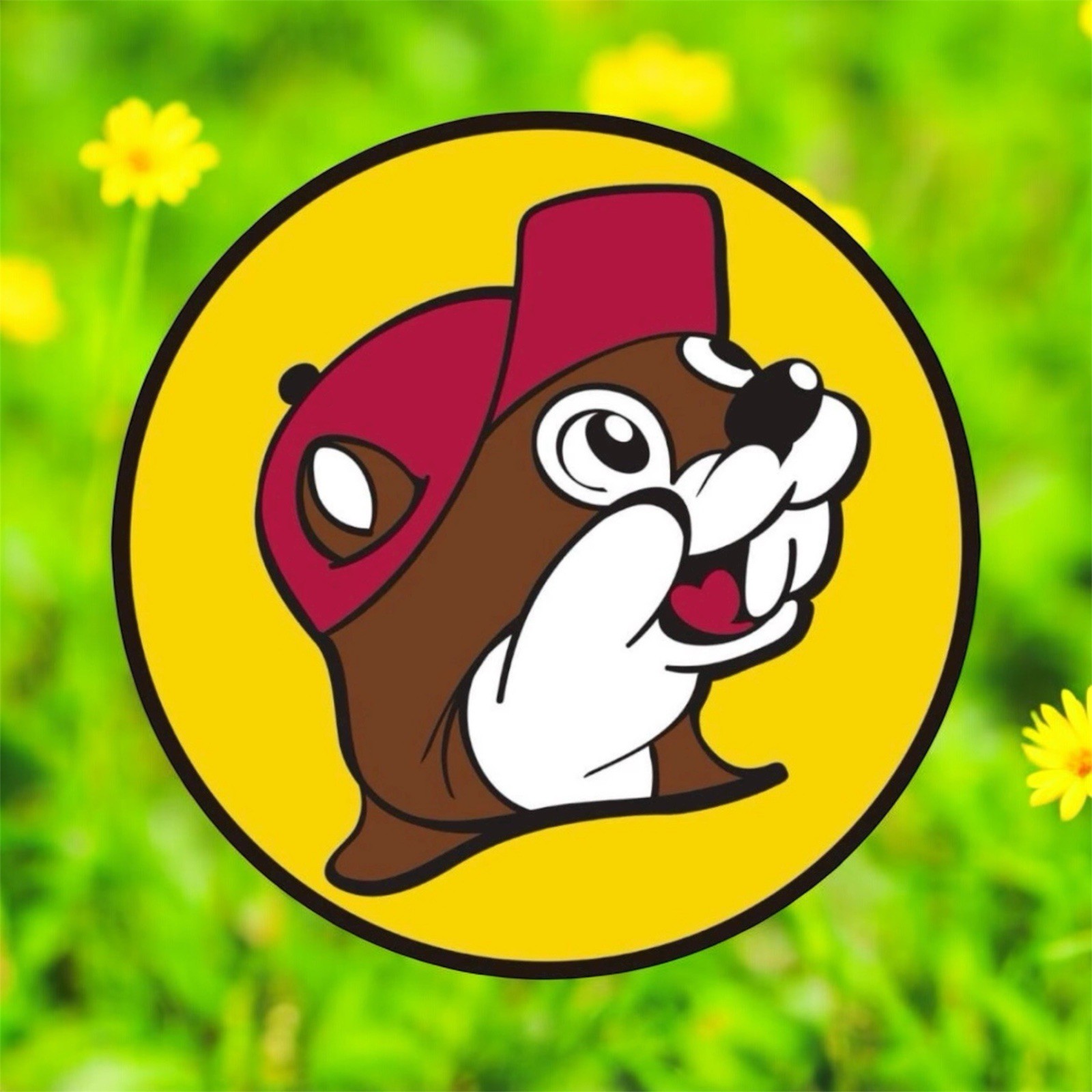 Buc-ees Beaver Logo 4” Inch DIECUT Waterproof Vinyl Decal Sticker 1PC
