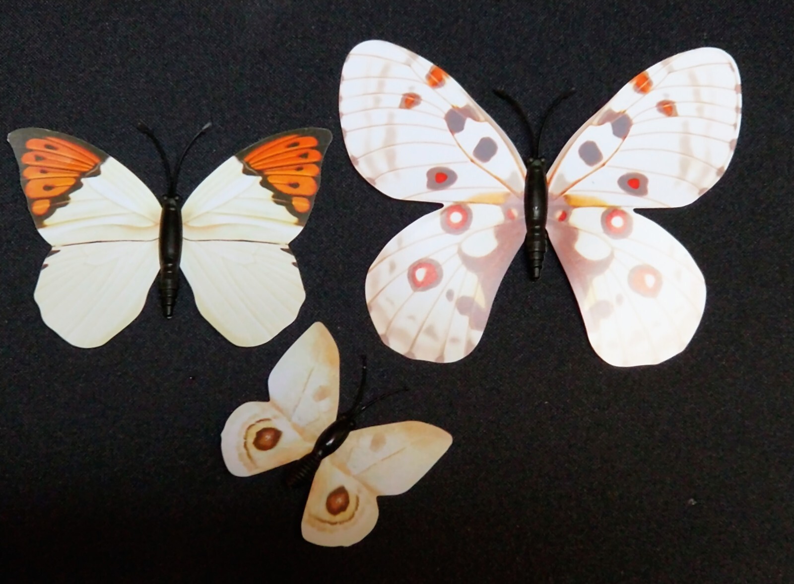 NEW , 12 Paper & Plastic Butterfly Pin set . Each Different, has sticky tabs.