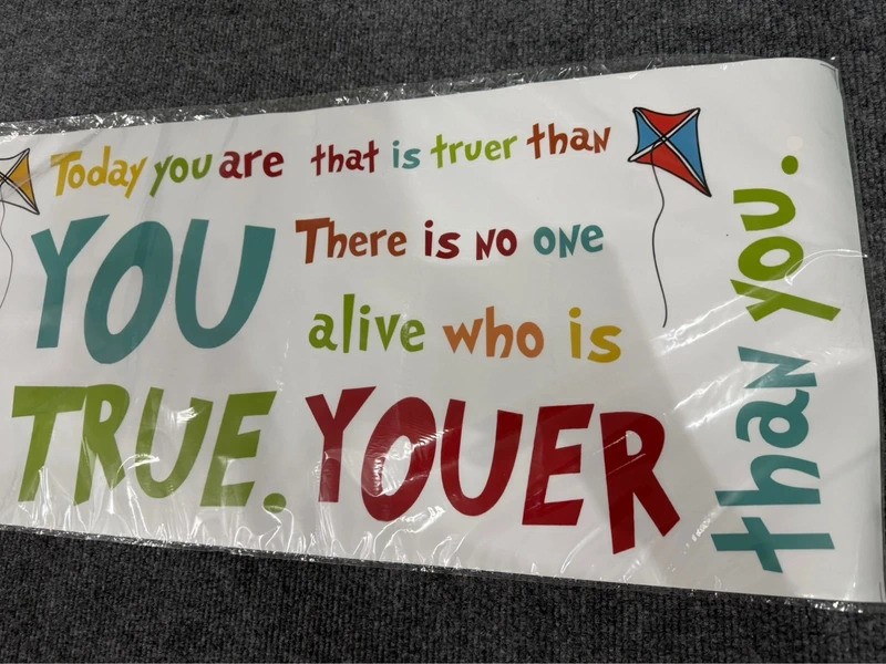 Dr. Seuss Wall Decals Never Used Teacher Classroom Decor Nursery Decor