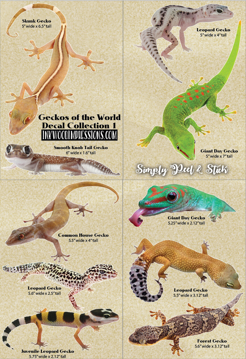 Geckos of the World Decal Collection 1 – 10 Peel and Stick Vinyl Decals
