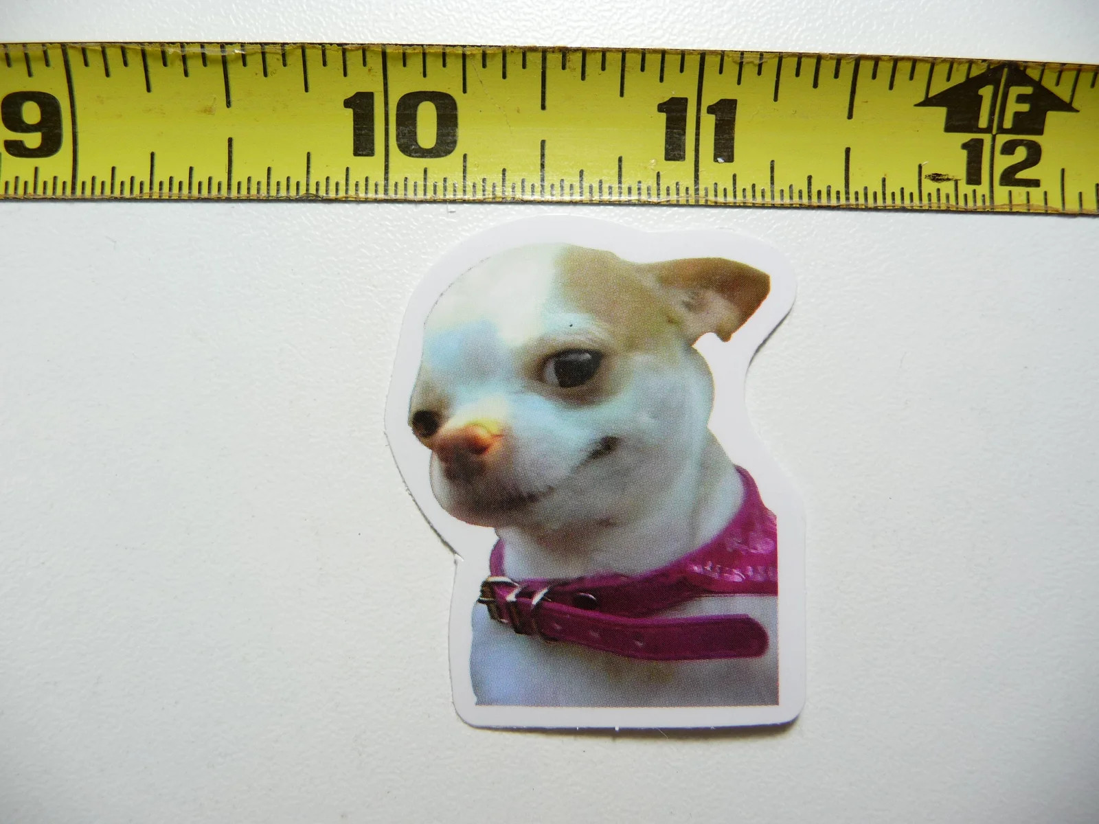 FUNNY DOG SMALL STICKER DECAL AX142 HAPPY CHIHUAHUA SIZE FUN HI PET