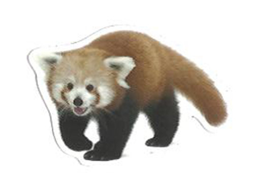 Red Panda Vinyl Sticker – 1.75" x 2.5"