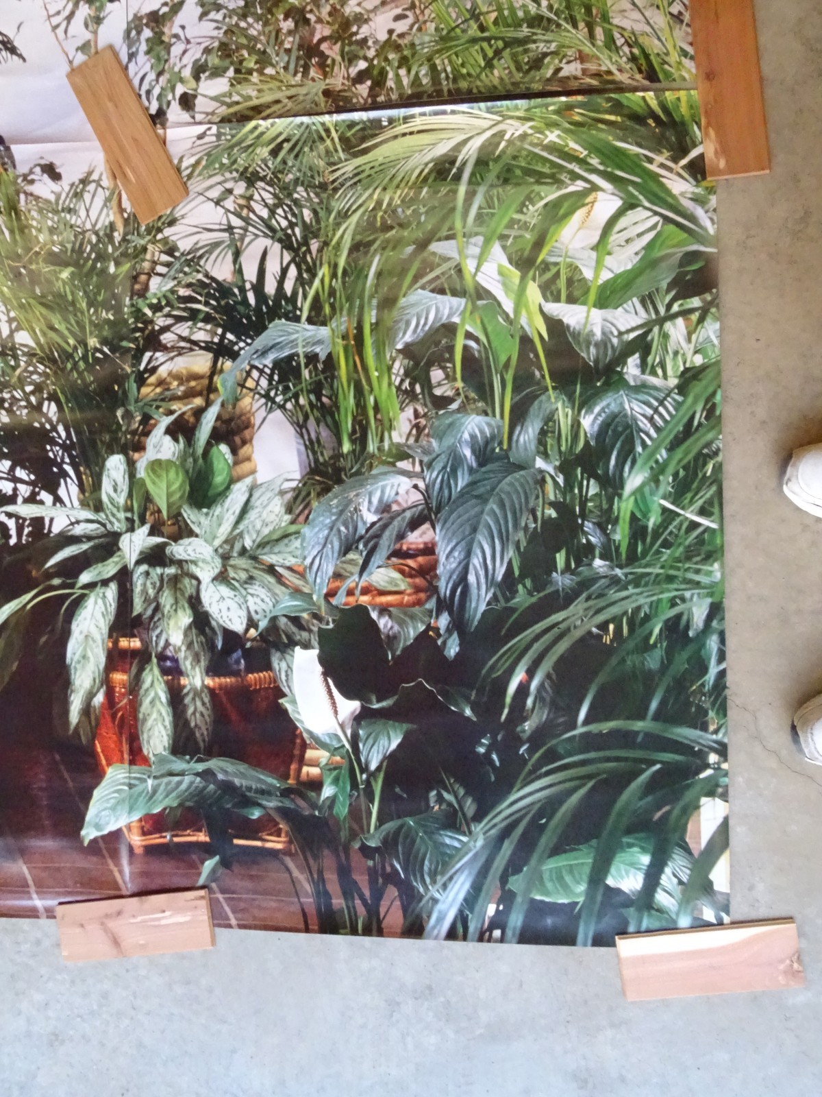 Full Wall Size Mural Tropical Plants Huge Window 8’ 8” x 12’ 6” NOS 108 Sq Ft A