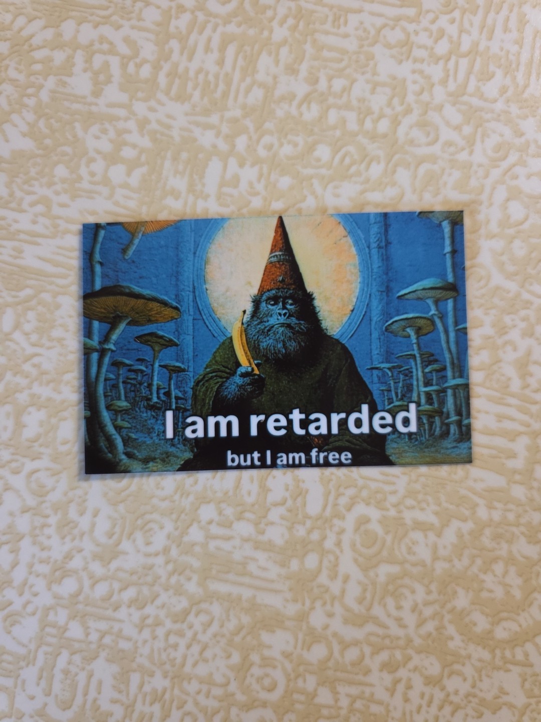 2" X 3" Sticker, I Am Retarted But I Am Free