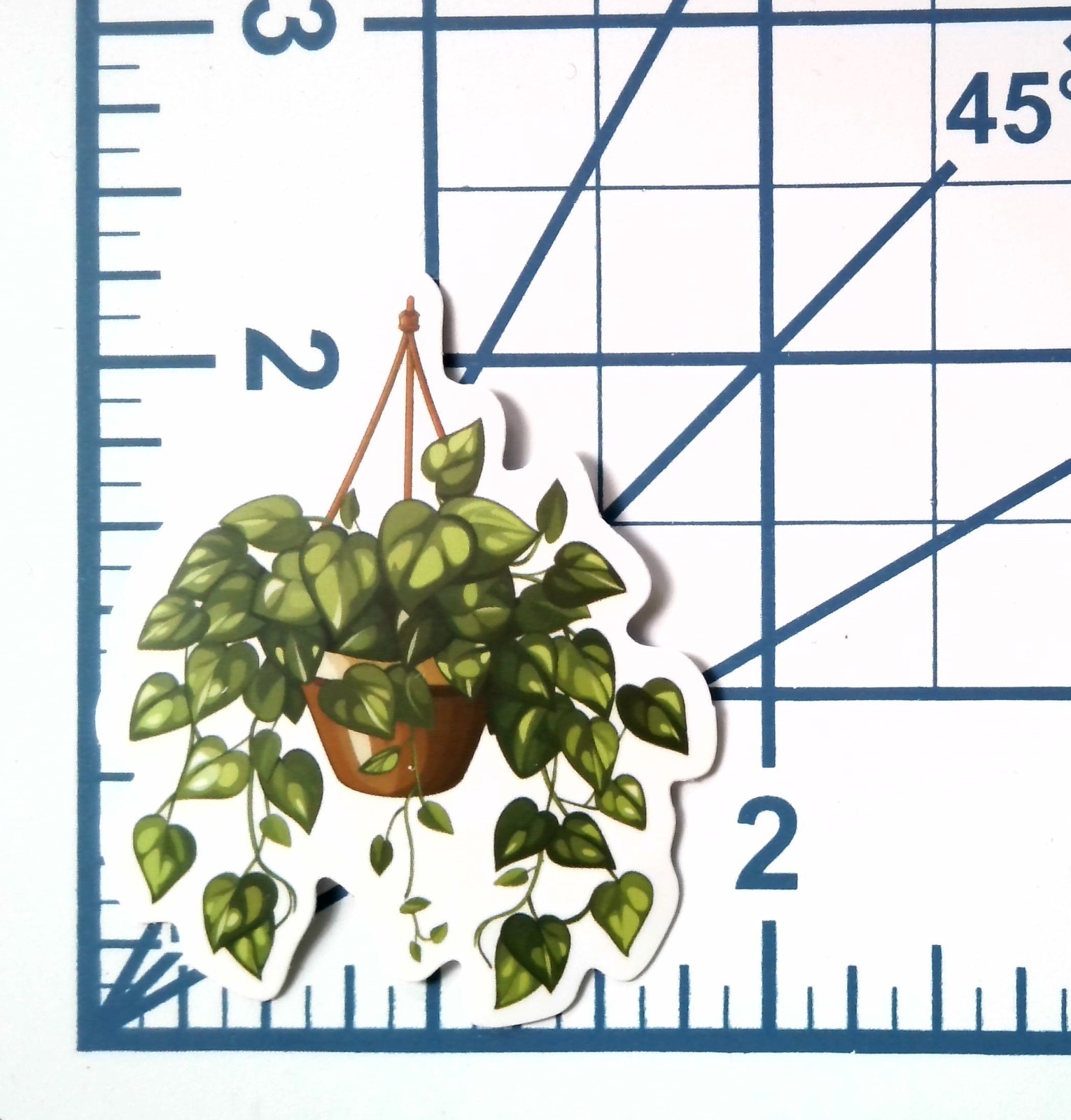 Pothos Hanging Vine Vinyl Sticker Die Cut Plant Journal Scrapbook Laptop