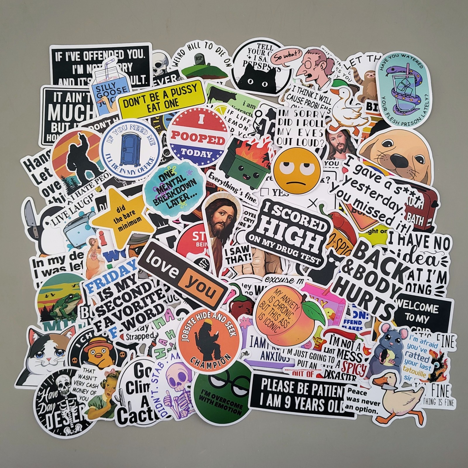 100 Pcs Funny Meme Stickers Pack Vinyl Decals Sarcastic Adult Humor Joke Lot