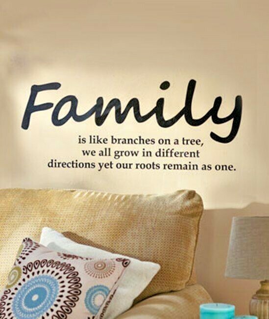 FAMILY IS LIKE BRANCHES ON A TREE, WE ALL GROW IN—MEANINGFUL Large WALL Decor