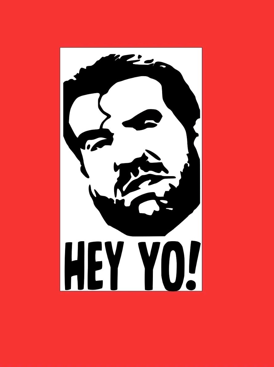 NWO Scott Hall New World Order Sticker Decal Car Window art, HEY YO! 3.5×6 Inch!