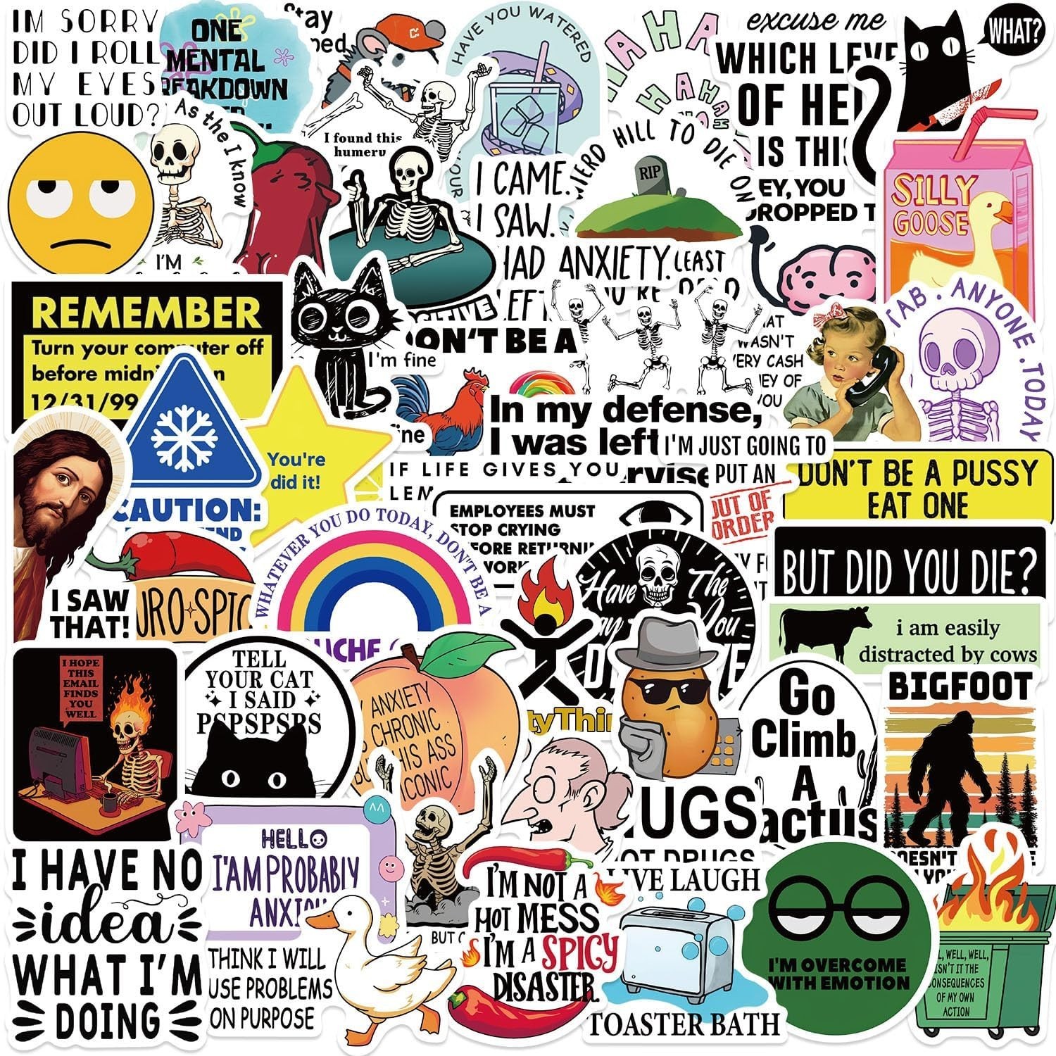 50PCS Funny Meme Stickers Adult Sarcastic Waterproof Vinyl Laptop Decals
