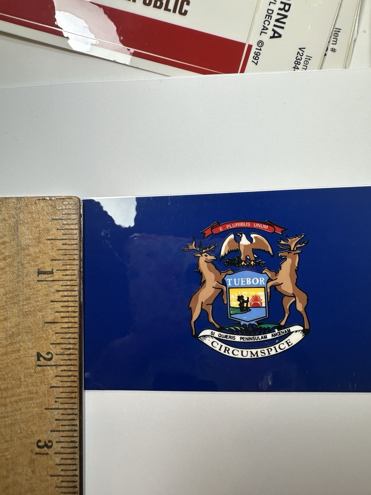 Bulk Lot State Flags Sticker Vinyl Decals 4” self Adhesive. 198 Stickers