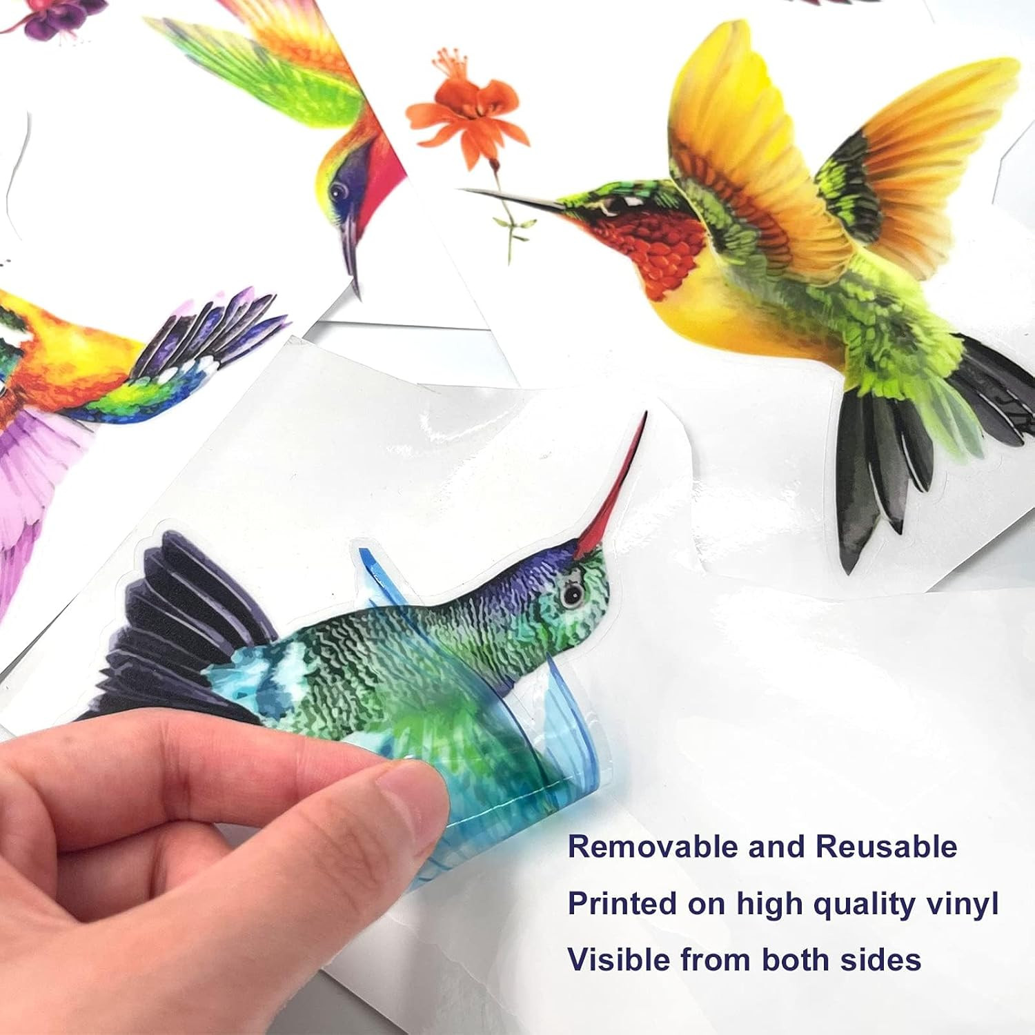 20 Pieces Large Size Hummingbird Window Hummingbird Decals for Window Anti-Colli