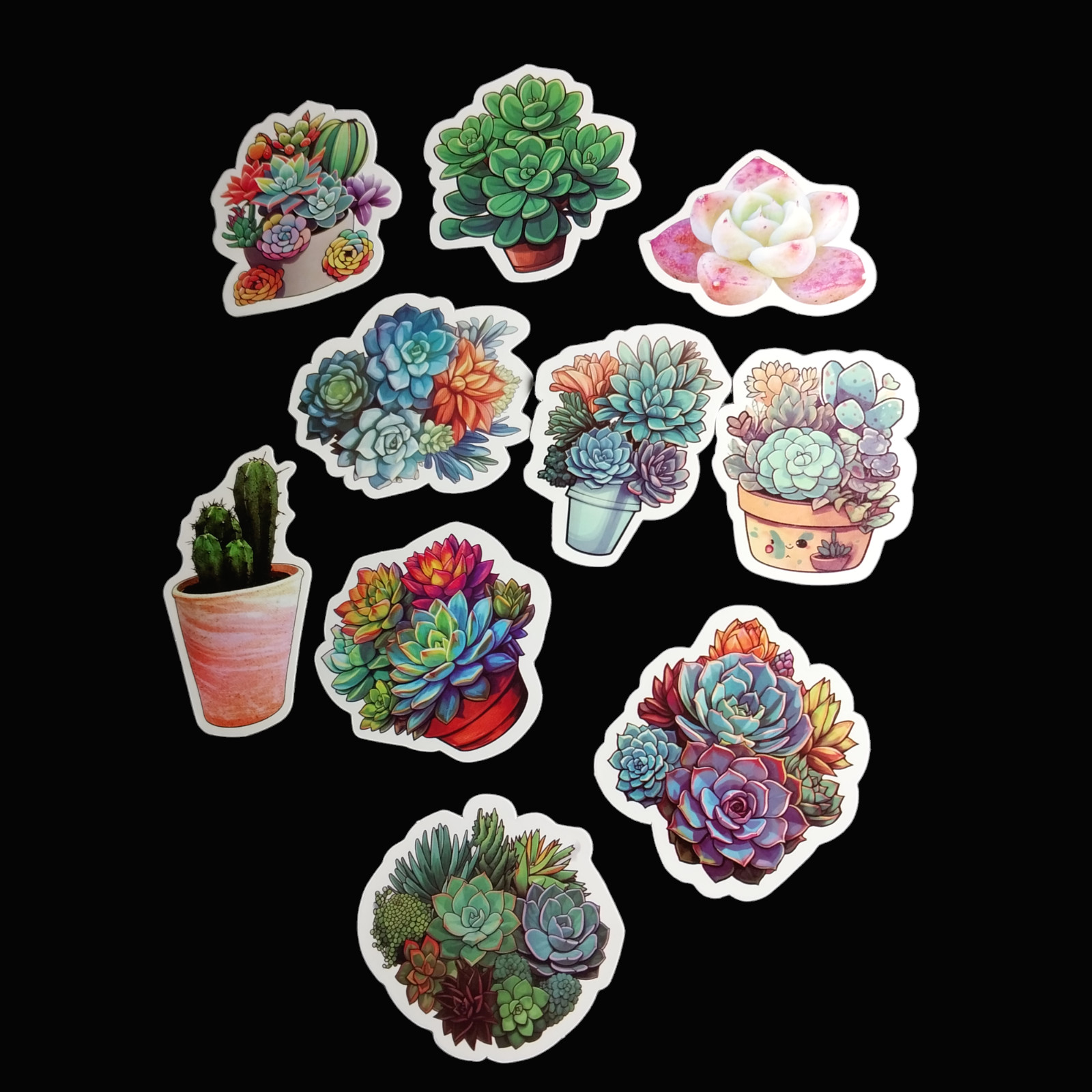 Succulents Cacti Cactus Plant Laptop Bottle Colorful PVC Decal Stickers 10 Pcs