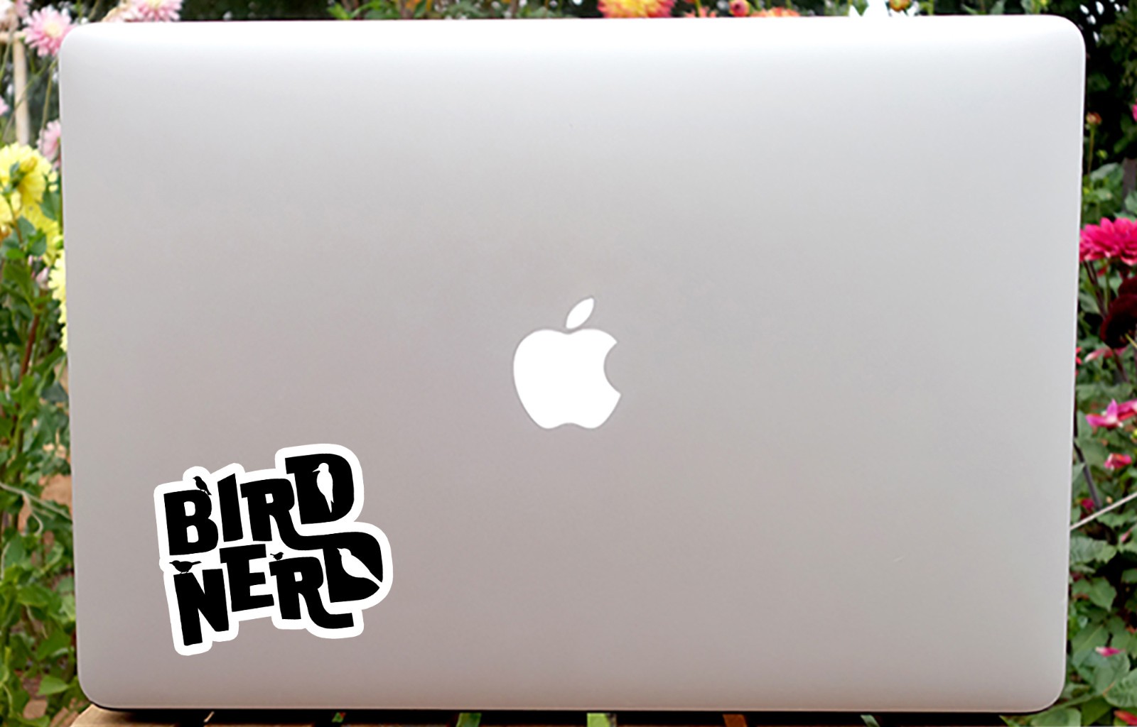 Bird Nerd sticker – Awesome die-cut decal for cars, water bottles, laptops, more