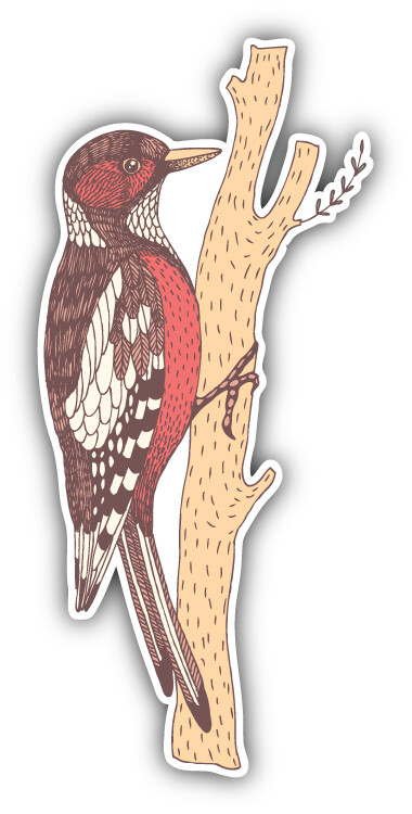 Woodpecker Bird Car Bumper Sticker Decal