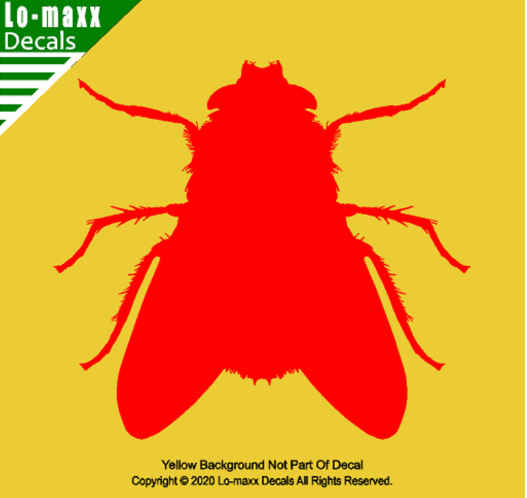 Fly Housefly Original Custom Graphic Art Superior Quality Die Cut Vinyl Decal