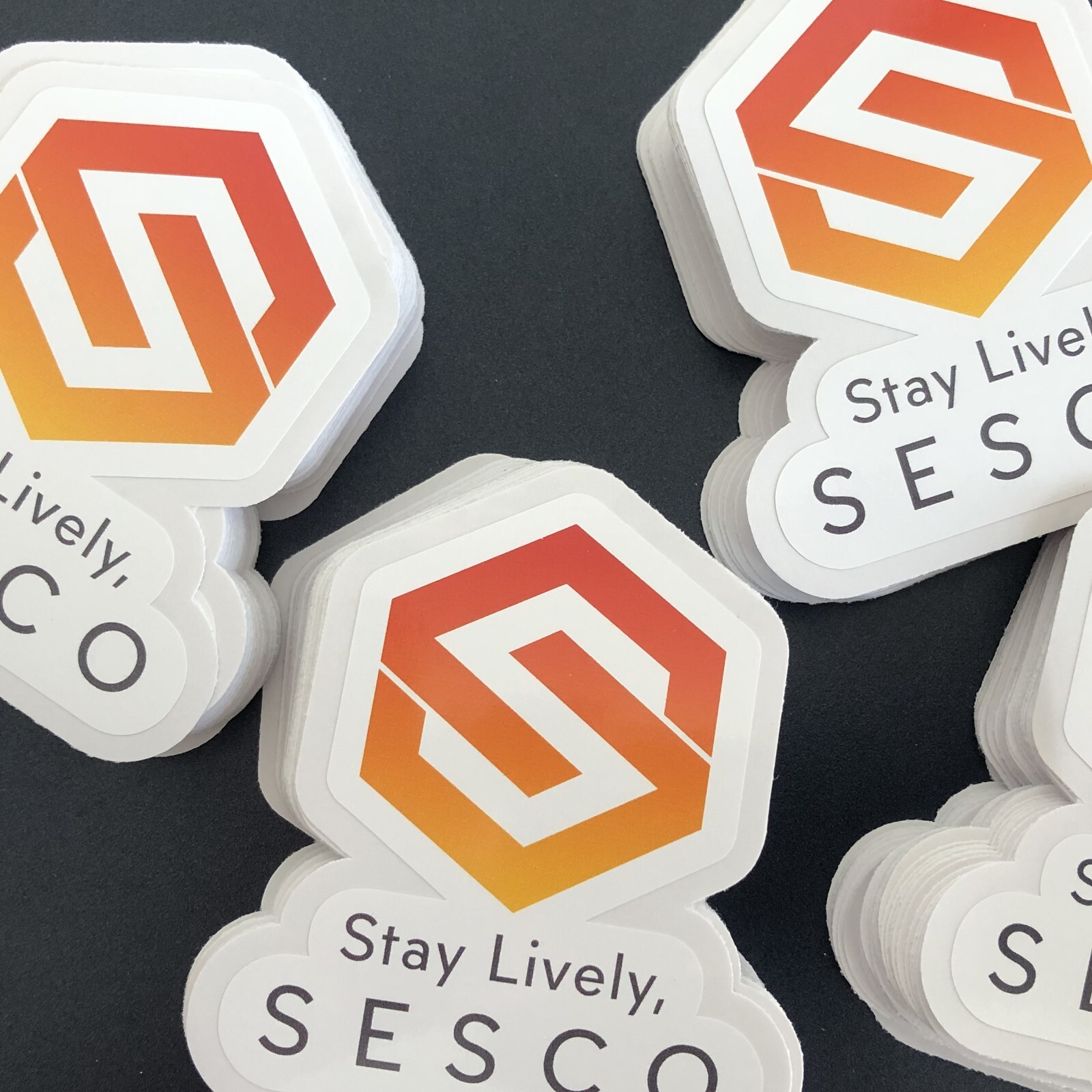 Custom Logo Stickers | Custom Product stickers | Logo Stickers Die cut | Decals