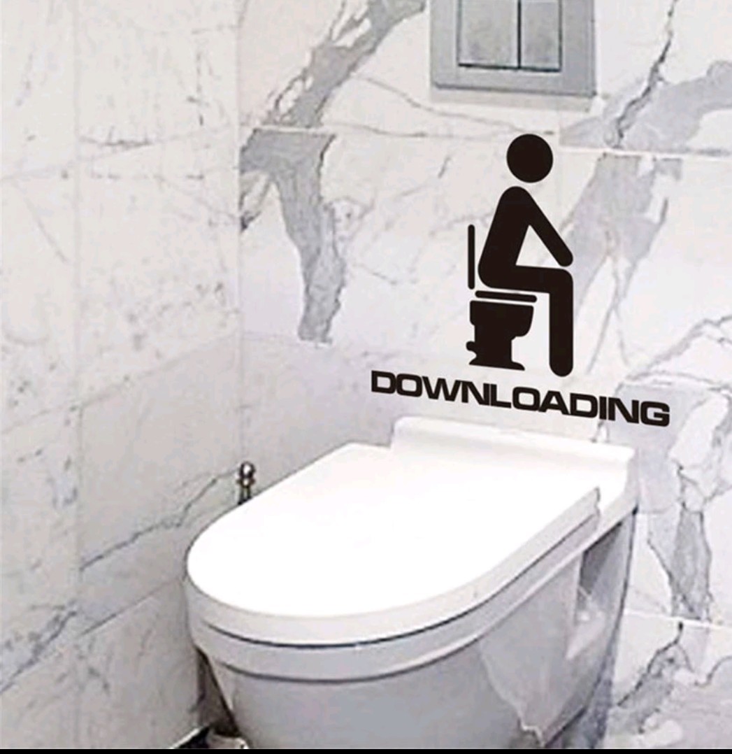 DOWNLOADING Toilet vinyl removeable decal sticker bathroom