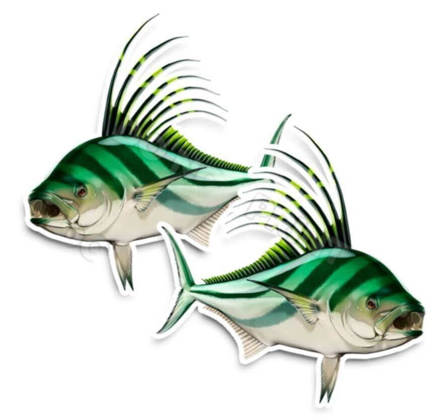 Roosterfis Decals Fish Stickers Vinyl Tackle Box Giant Sea Perch – Set of 2 #207