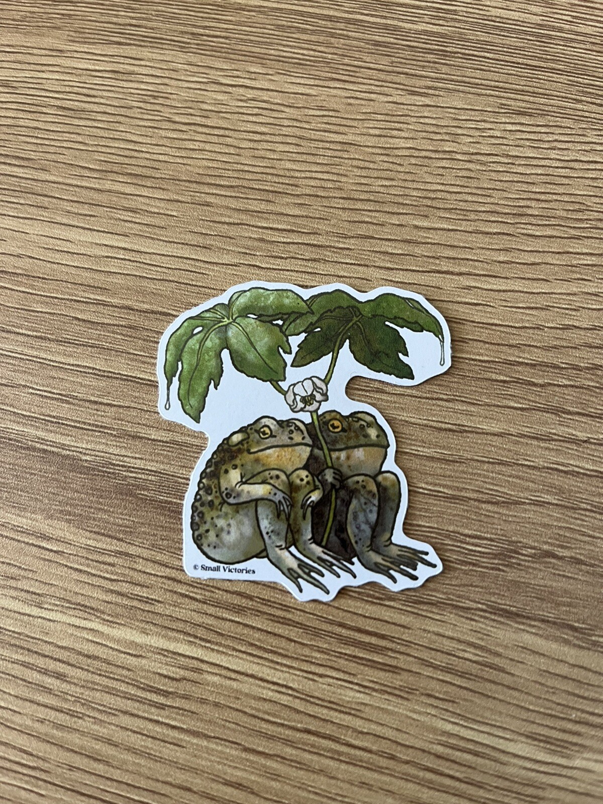 Cute Frogs Sticker, Nature Sticker