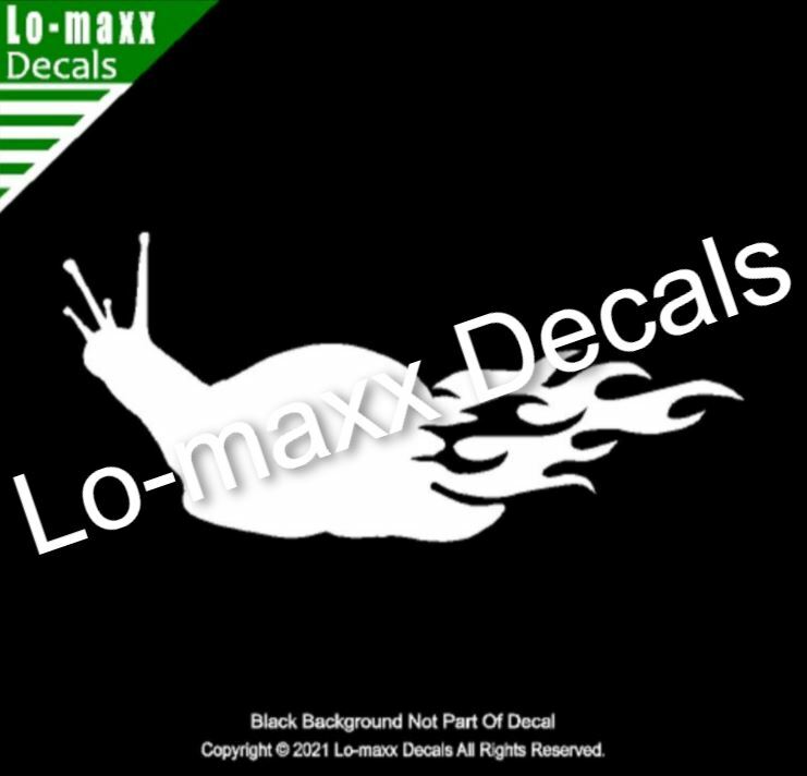 Flaming Snail Car SUV Truck Boat Window Home Decor Design Die Cut Vinyl Decal