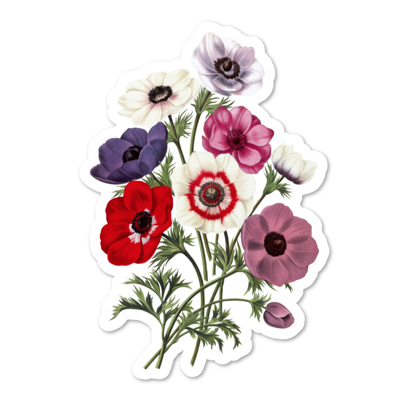 Anemones Botanical Vinyl Sticker, Water Resistant, Scrapbooking, Laptop, 2 Sizes