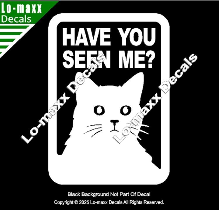 Have You Seen Me Lost Cat Sticker Art Funny Vinyl Decal For Laptop Door Locker