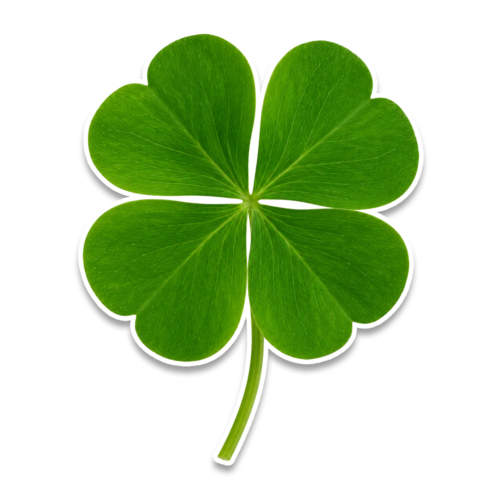 Four Leaf Clover Sticker 4 Inch Vinyl Decal Irish Good Luck