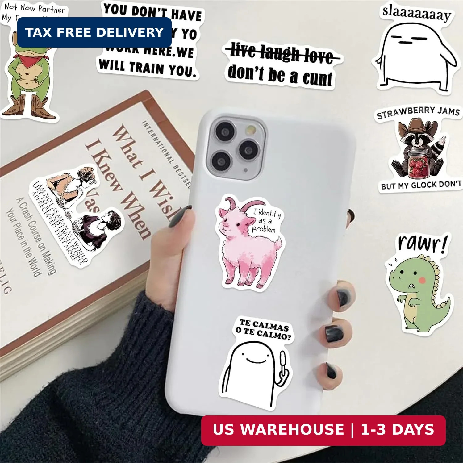 50Pcs Funny Meme Stickers Adults Dirty Sticker for Kids Teens Adults, Snarky Vin
