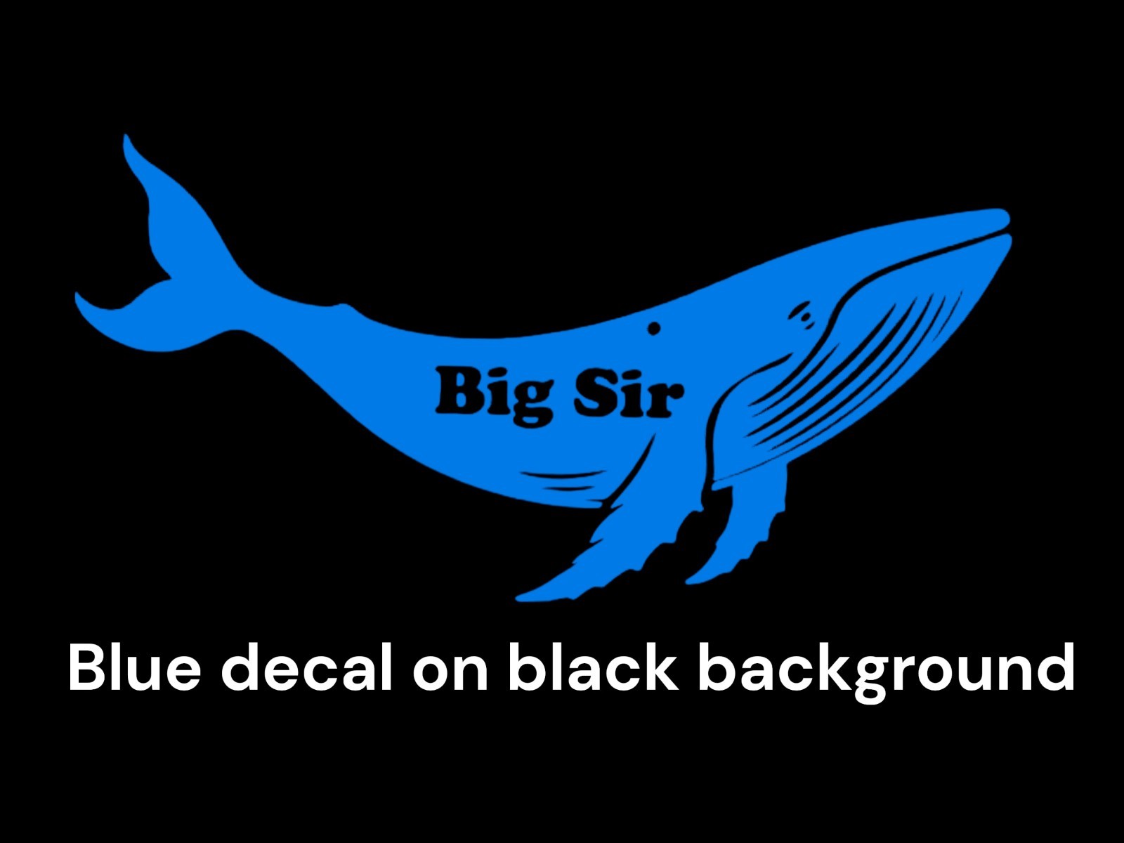 Humpback Whale Big Sir Decal for car Windows Laptops most Smooth Surfaces